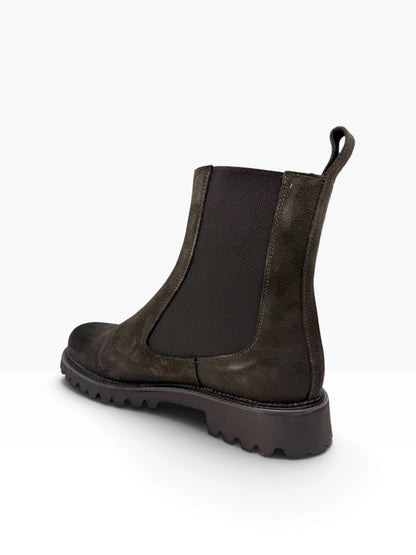 CAIMAN C019